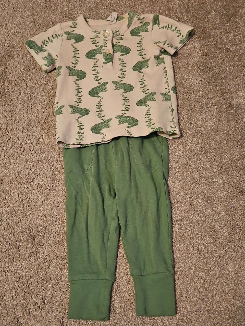 Kate Quinn Green Frog Cotton Shirt Pants Set 18-24M